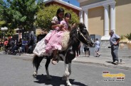 Desfile Caballos 060